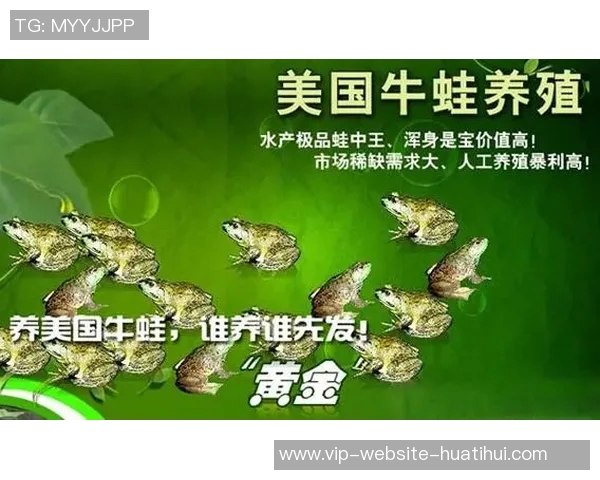 选择优质体育培训机构加盟品牌助力创业成功与品牌价值提升 选择优质体育培训机构加盟品牌助力创业成功与品牌价值提升